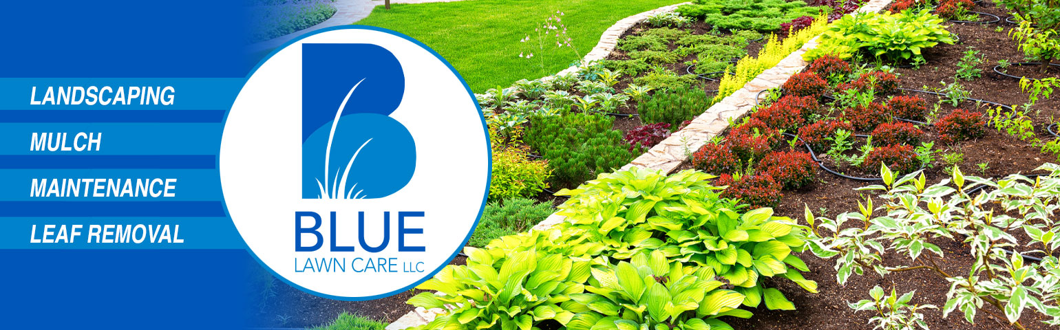 Blue Lawn Care Landscaping